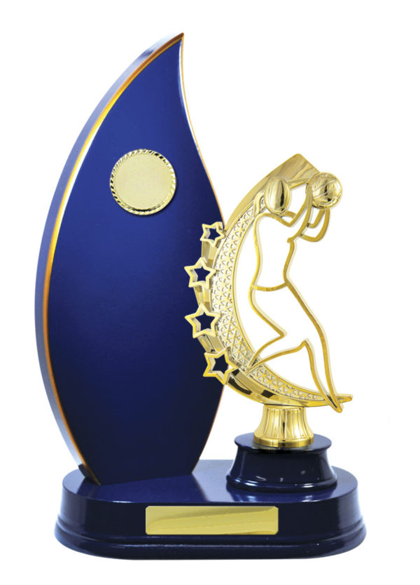 N24-2413RB : Timber Buildup Netball - Image 3