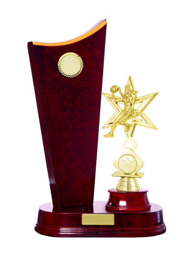 N24-2505CH : Timber Buildup Netball - Image 3