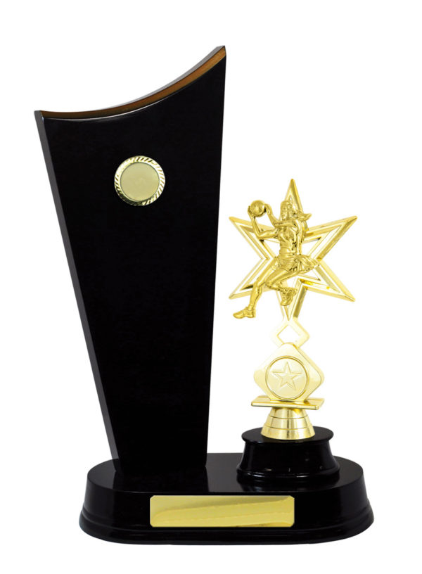 N24-2505DK : Timber Buildup Netball - Image 4