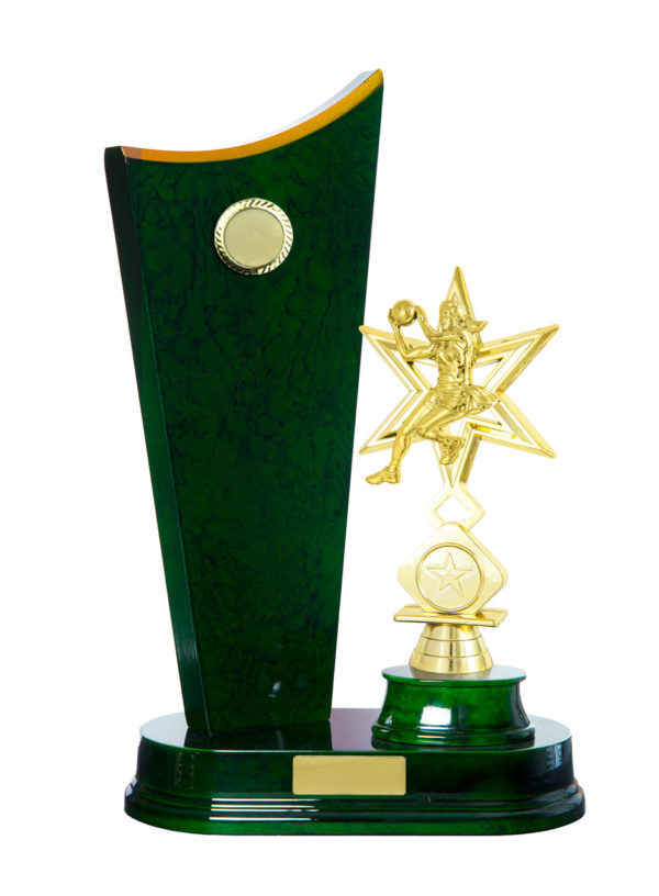 N24-2505GN : Timber Buildup Netball - Image 3