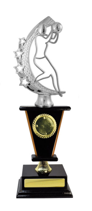 N24-2508: Timber Buildup Netball