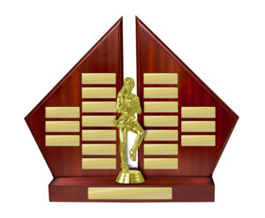 N24-2603: Perpetual Backstand