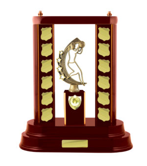 N24-2610WG: Timber Buildup Netball