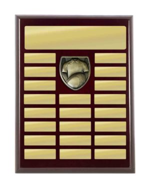 R24-0312: Plaque with Rugby Trim
