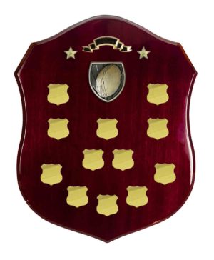 R24-0314: Shield with Rugby Trim