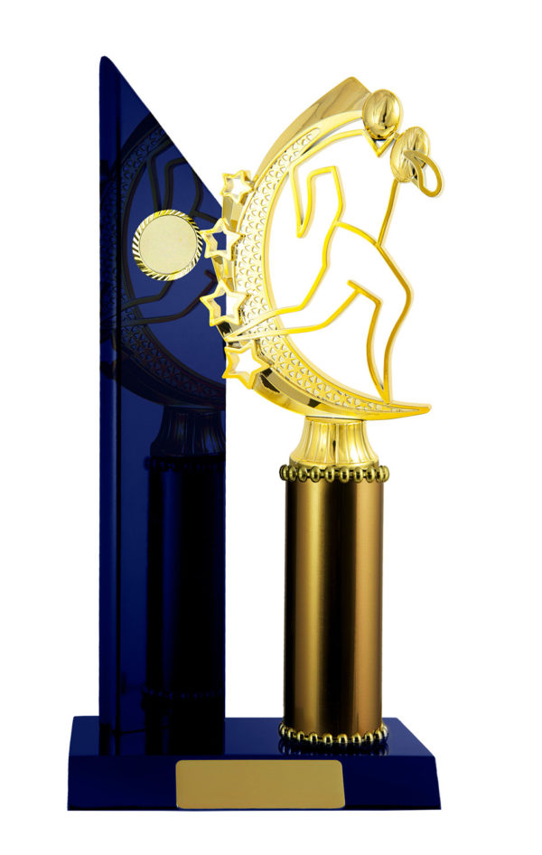 R24-2301RB : Timber Buildup Rugby - Image 4