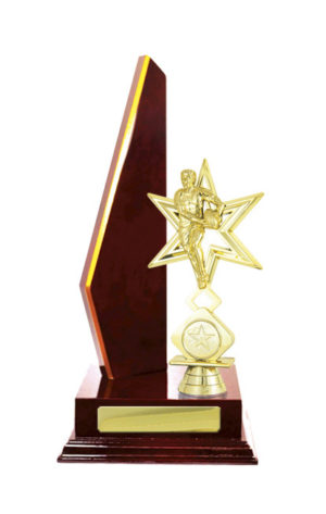 R24-2306CH: Timber Buildup Rugby