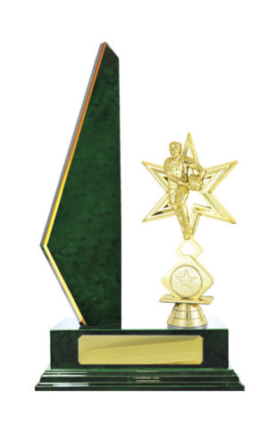 R24-2306GN: Timber Buildup Rugby