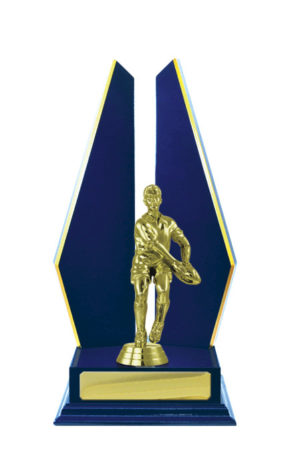 R24-2404RB: Timber Buildup Rugby