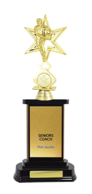 R24-2409DK: Timber Buildup Rugby