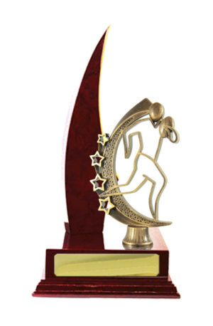 R24-2414CH: Timber Buildup Rugby