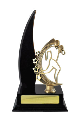 R24-2414DK: Timber Buildup Rugby