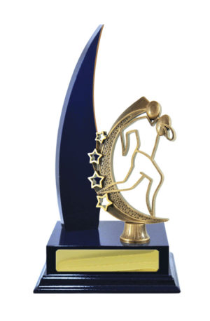 R24-2414RB: Timber Buildup Rugby