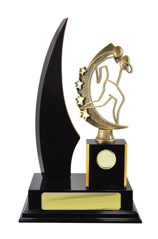 R24-2414DK: Timber Buildup Rugby - Image 3