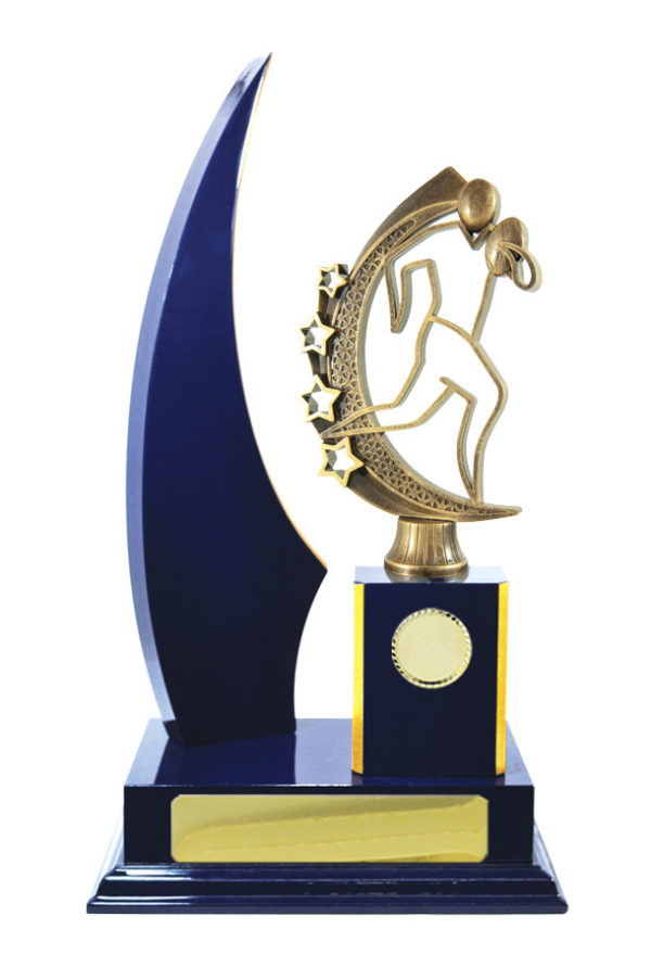 R24-2414RB: Timber Buildup Rugby - Image 3