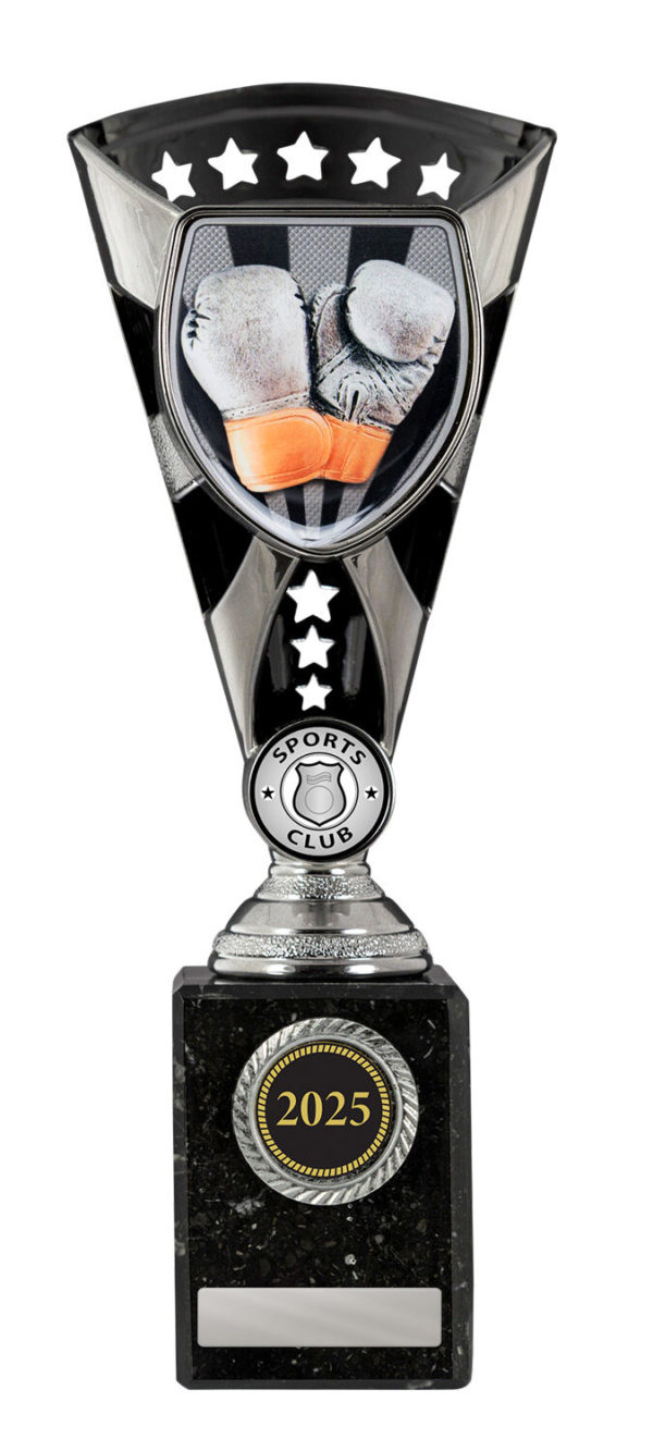 S24-11825: Cobra Cup-Boxing - Image 3