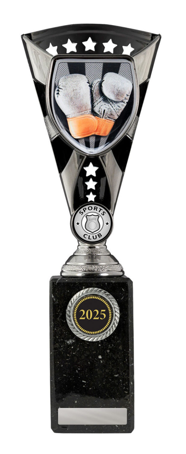 S24-11825: Cobra Cup-Boxing - Image 4