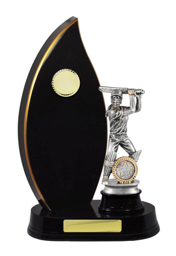 S24-13013DK : Timber Buildup Cricket - Image 3