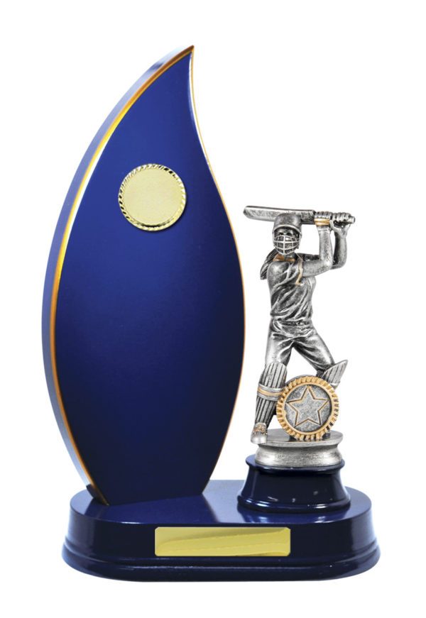 S24-13013RB : Timber Buildup Cricket - Image 3