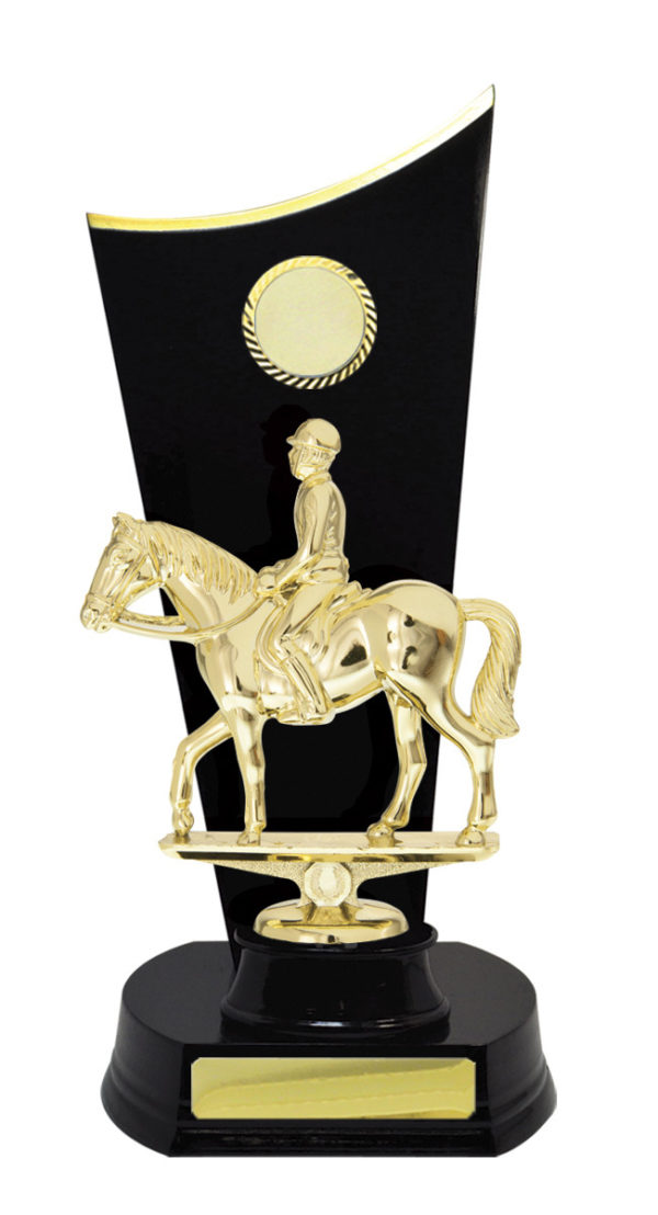 F24-3212RB : Timber Buildup Football Male - Image 3