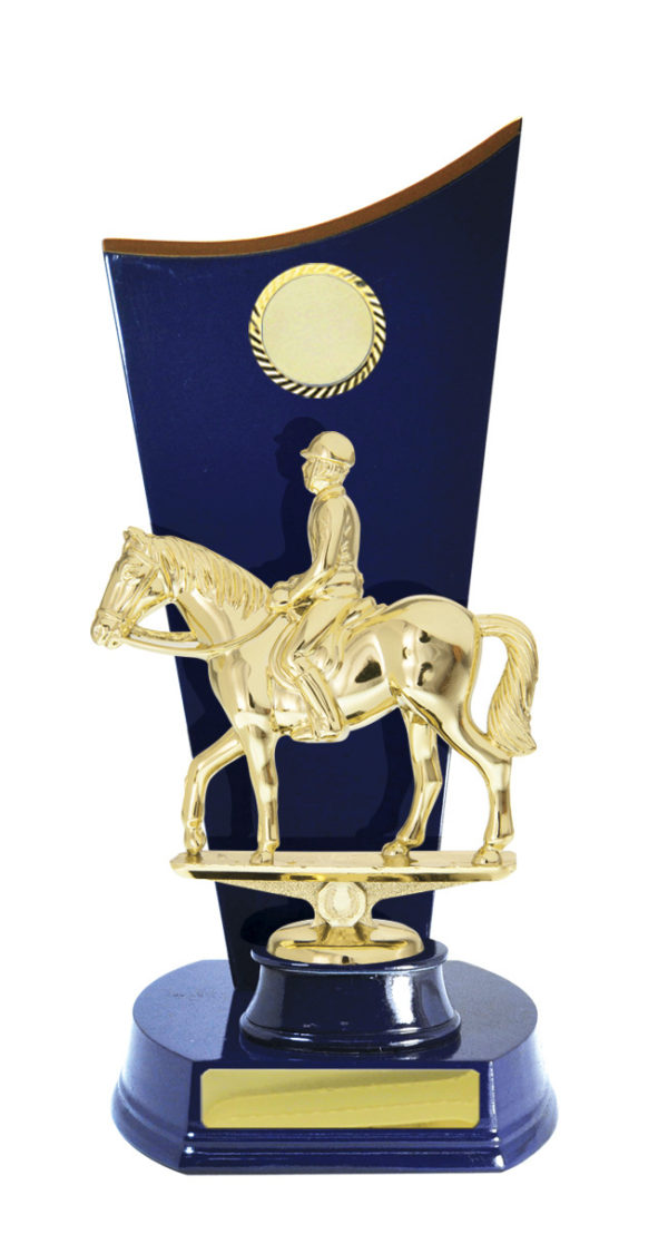 F24-3212RB : Timber Buildup Football Male - Image 3