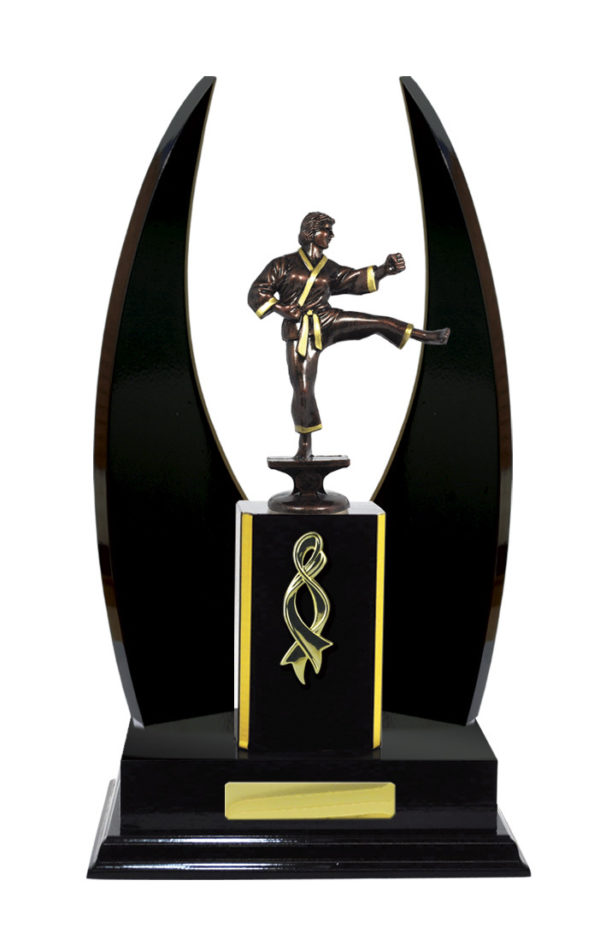 S24-15510DK : Timber Buildup Martial Arts - Image 4