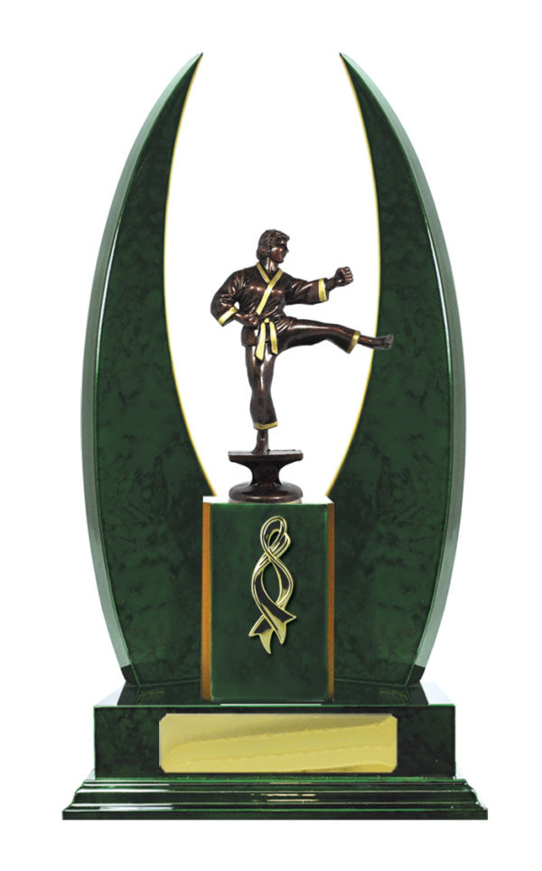 S24-15510GN : Timber Buildup Martial Arts - Image 4