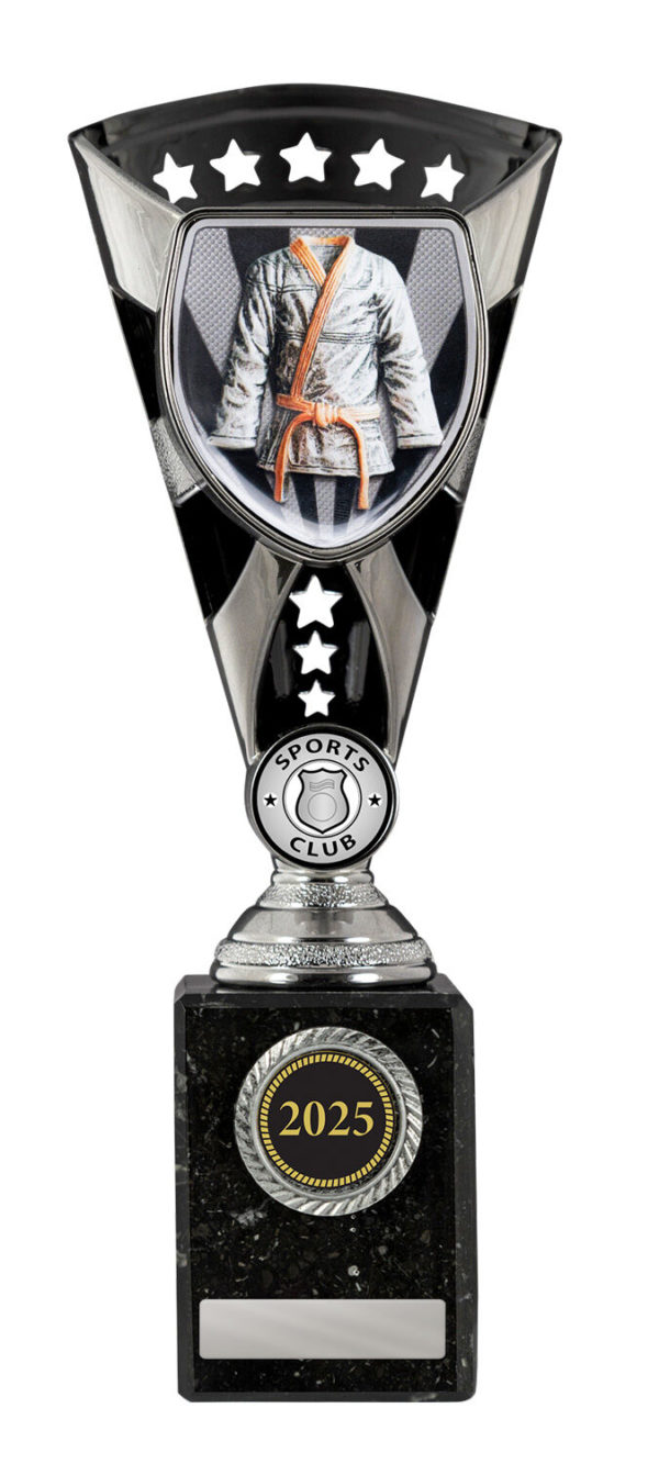 S24-15621: Cobra Cup-Martial Arts - Image 3