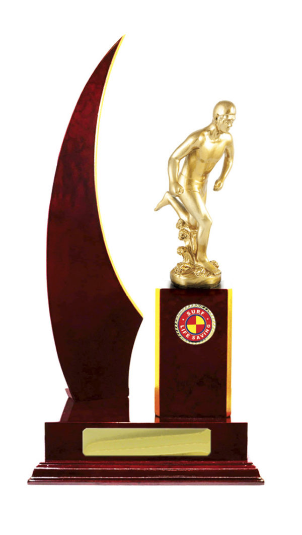 S24-7314CH : Timber Buildup Lifesaving - Image 4