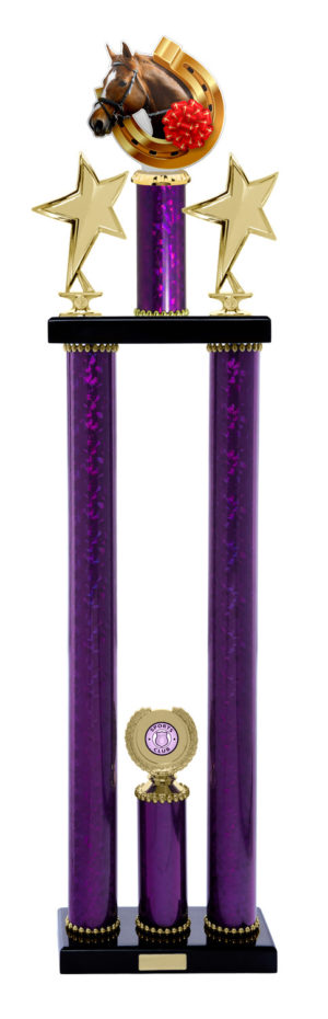 S24-7901: Horses Tubing Buildup