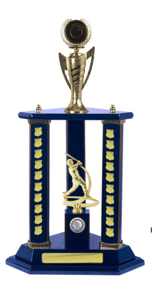 S24-8414RB: Timber Buildup Baseball