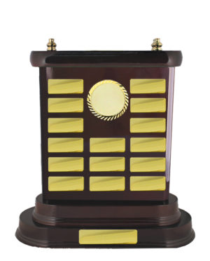 S24-8504DK: Timber Buildup Perpetual