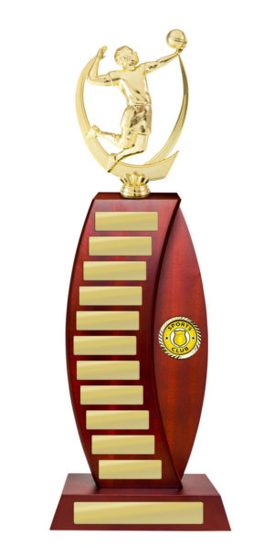 S24-8508: Timber Buildup Volleyball