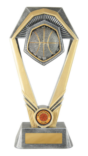 18A-RI7B : Hex Series-Basketball