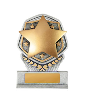 19A-RI91A : Budget Stand