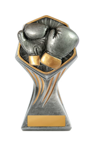 22A-RI32G : Gladiator Tower-Boxing