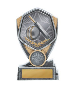 23A-TS1G : Hero Shield-Cricket