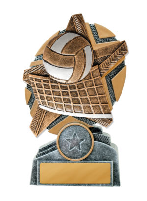 24A-RS13 : Starburst Stand Volleyball