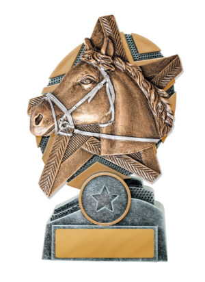 24A-RS29 : Starburst Stand Horse