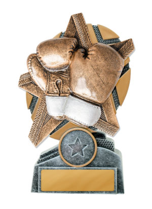 24A-RS32 : Starburst Stand-Boxing