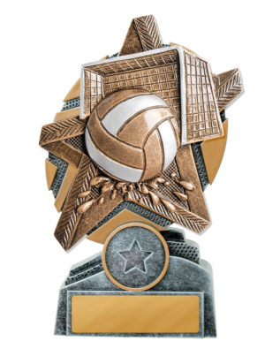 24A-RS68 : Starburst Stand Waterpolo