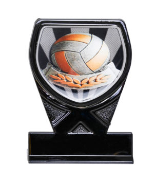 25BKA-CS13 : Black Cobra Volleyball