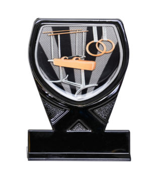 25BKA-CS20 : Black Cobra Gymnastics