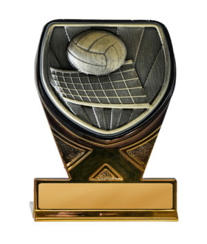 25GBKA-MS13G : Fusion Cobra Volleyball