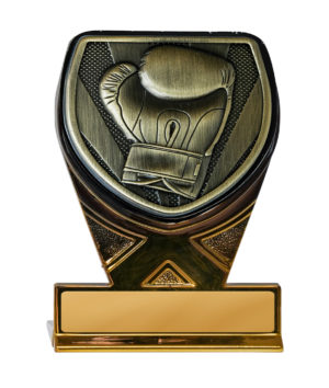 25GBKA-MS32G : Fusion Cobra-Boxing