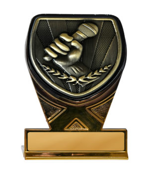 25GBKA-MS48G : Fusion Cobra Public Speaking