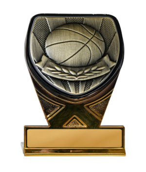 25GBKA-MS7B : Fusion Cobra Basketball