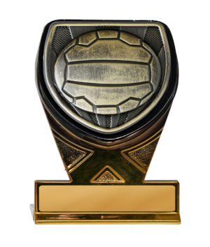 25GBKA-MS8B : Fusion Cobra Netball