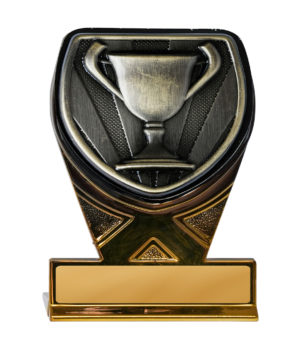 25GBKA-MS92G : Fusion Cobra-Achievement