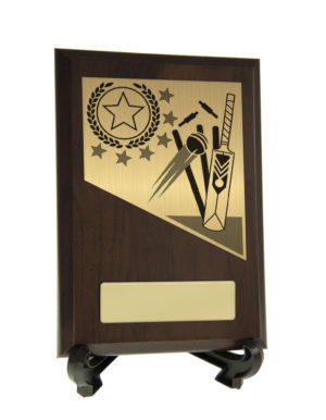 8231CH-PS1A : Cricket Theme on Plaque